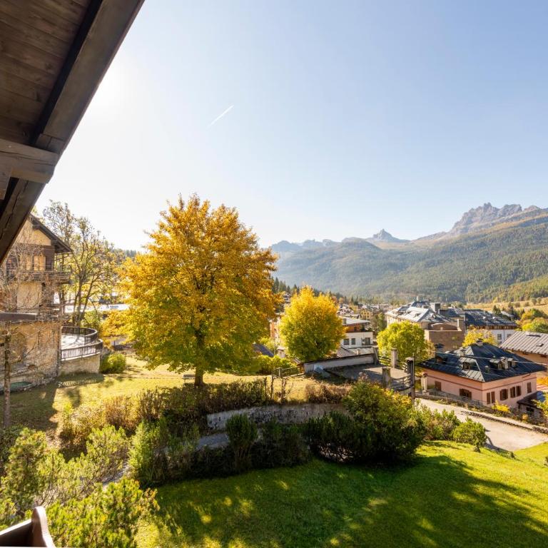 Villa Allegra 2 Tofane monuntains view - Appartamento con 3 Camere da Letto - 9