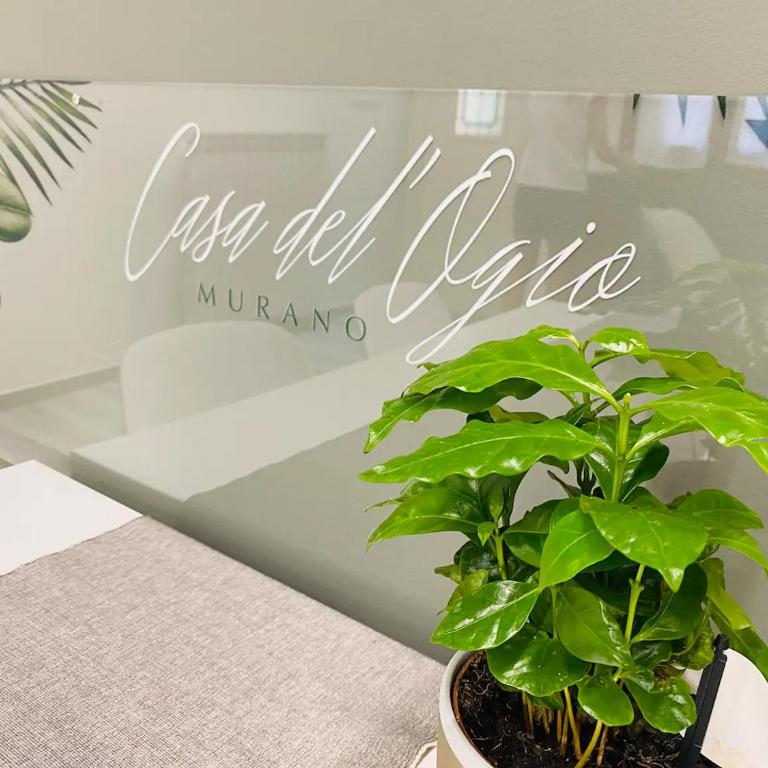 Casa Ogio - Relax Apartment in Murano - Venezia - One-Bedroom Apartment - 8