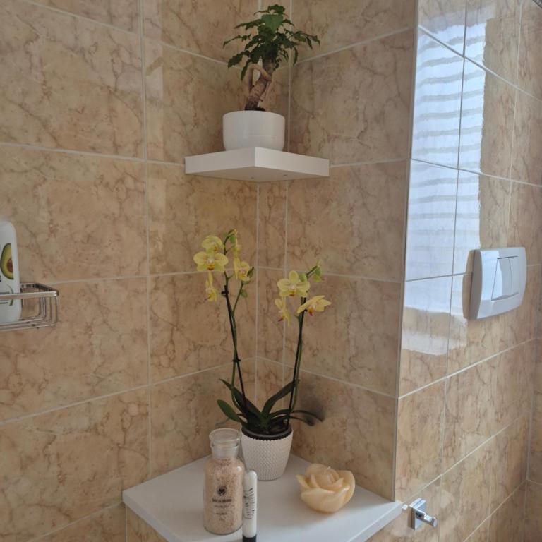 Olive tree's house - Casa con 1 Camera da Letto - 14