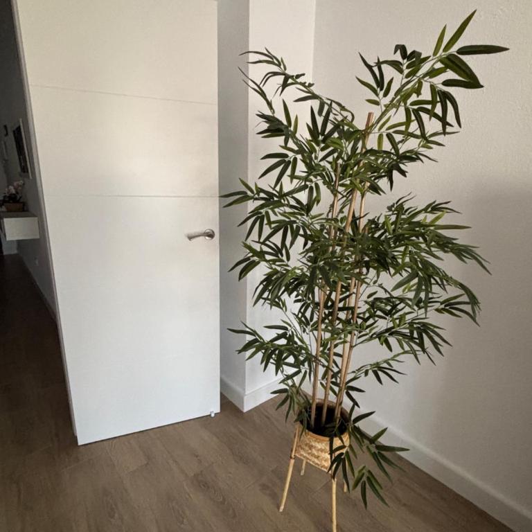 Trimar - Apartamento céntrico con garaje - Apartamento de 2 dormitorios - 5