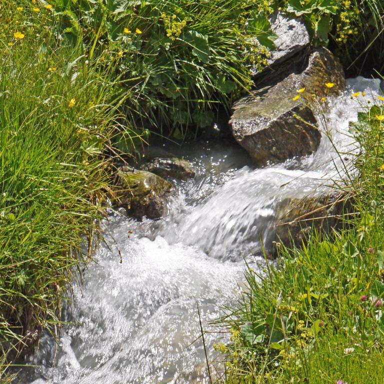 Chalet Familial Ovronnaz Ski & Bains Thermaux - Chalet mit 2 Schlafzimmern - 24