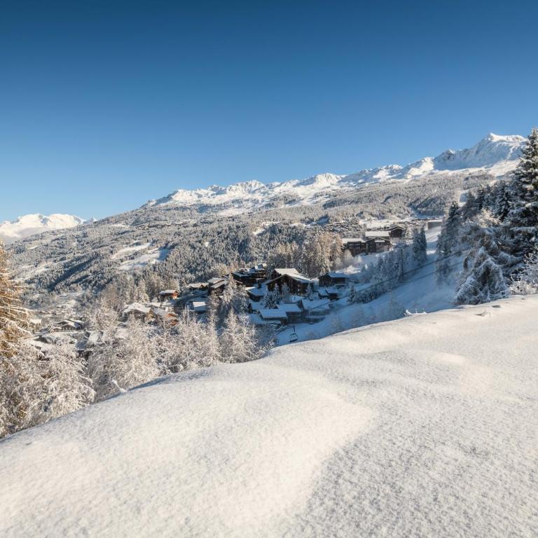 Chalet Face Nord Cyrelia, La Plagne les Coches, 15 personnes, départs skis au pieds - Superior Chalet - 62