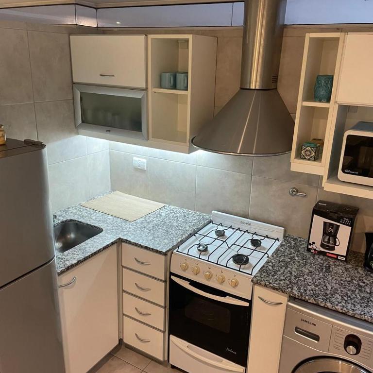 Departamento moderno pinos de anchorena - Apartamento de 1 dormitorio - 1