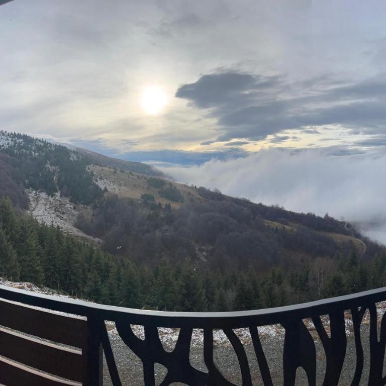 Mountain View Apartment - Vila Golija - Two-Bedroom Apartment - 9