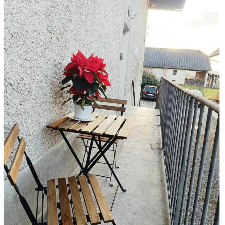 Le Parmelan - Sur la route d'Annecy - Appartement 1 Chambre - 11