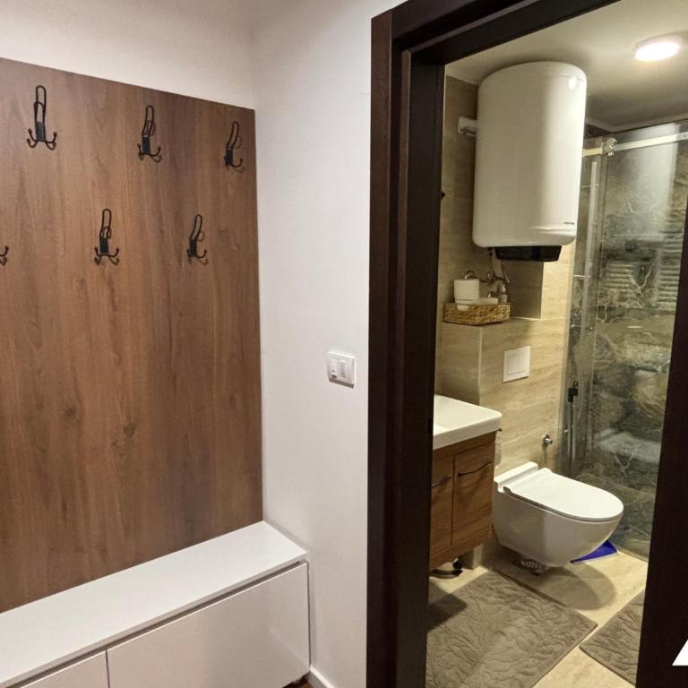 Apartman Anči - Studio with Mountain View - 12