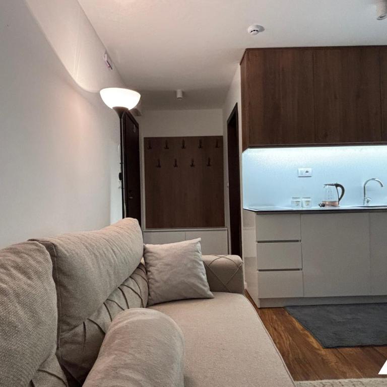 Apartman Anči - Studio with Mountain View - 14