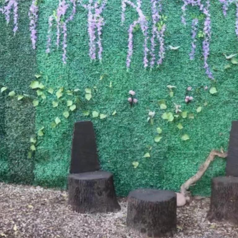 Cabañas maquen - Casa con 1 dormitorio - 7