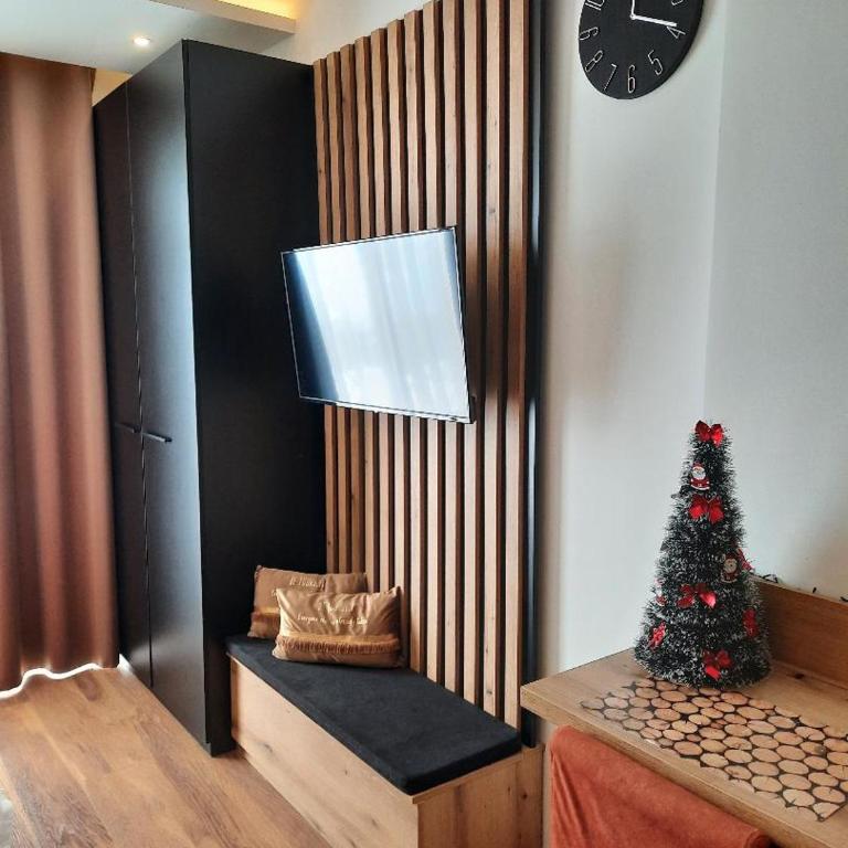White Lady - One-Bedroom Apartment - 4