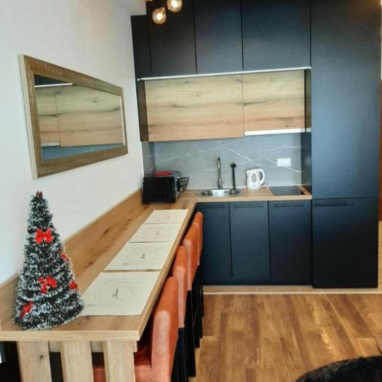 White Lady - One-Bedroom Apartment - 14