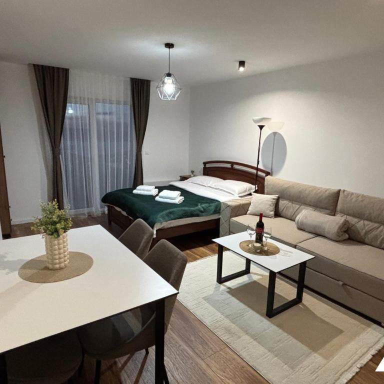 Apartman Oliver - Studio with Mountain View - 1