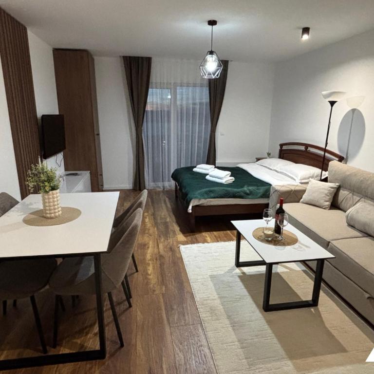 Apartman Oliver - Studio with Mountain View - 17