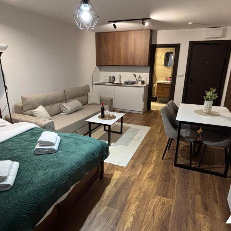 Apartman Oliver - Studio with Mountain View - 6