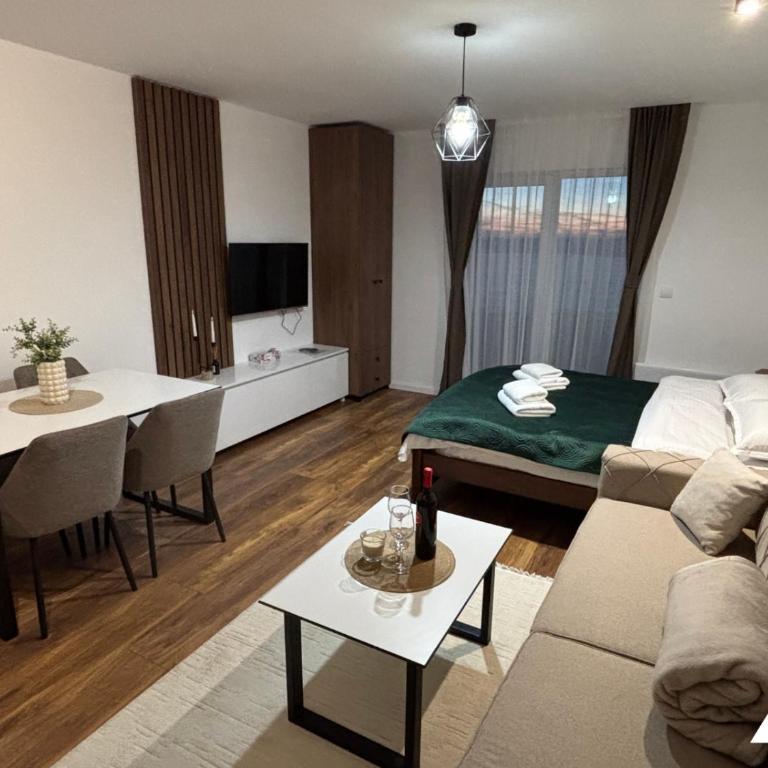 Apartman Oliver - Studio with Mountain View - 12