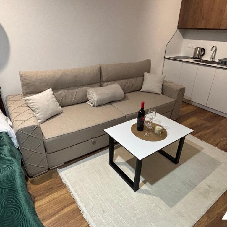 Apartman Oliver - Studio with Mountain View - 4