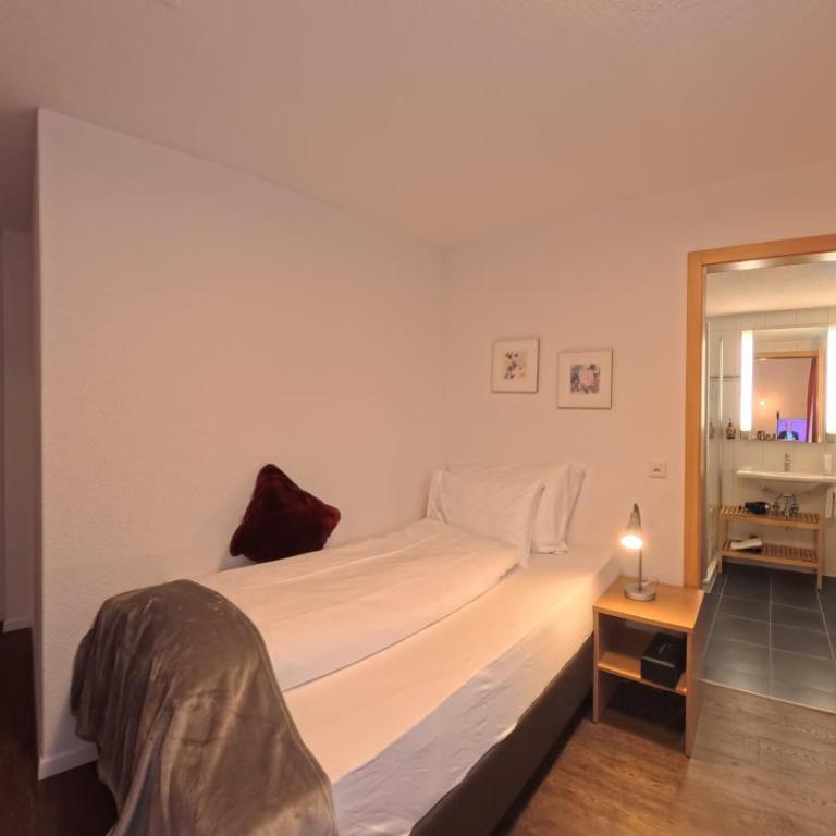 Therme 51° Hotel Physio & Spa - Standard Einzelzimmer - 1