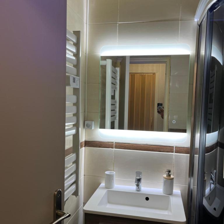 LE CORBIER Vue pistes Studio 5 personnes entièrement rénové et labellisé Qualité Hébergement Sybelles - Appartement 1 Chambre - 16