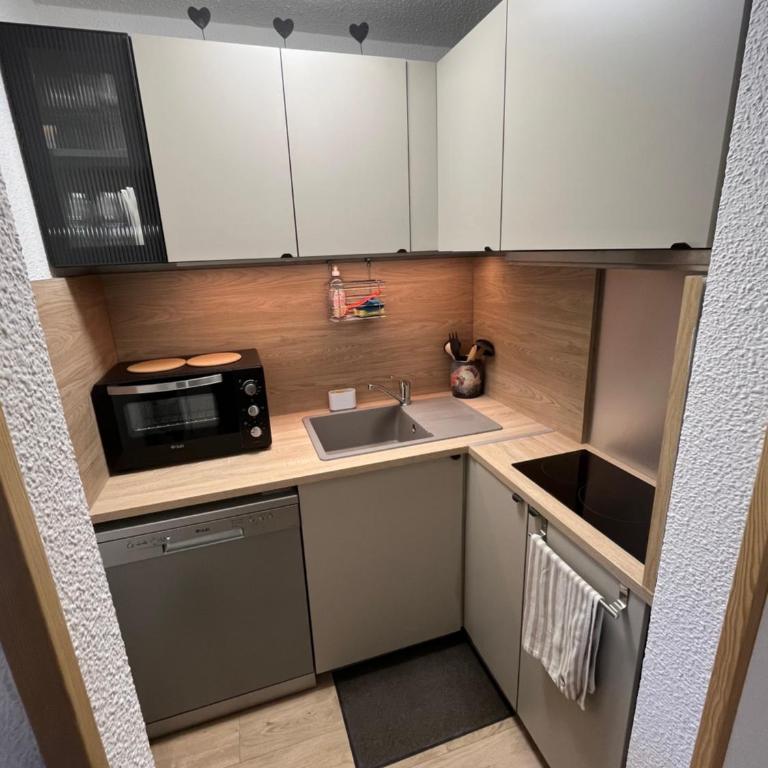 LE CORBIER Vue pistes Studio 5 personnes entièrement rénové et labellisé Qualité Hébergement Sybelles - Appartement 1 Chambre - 13