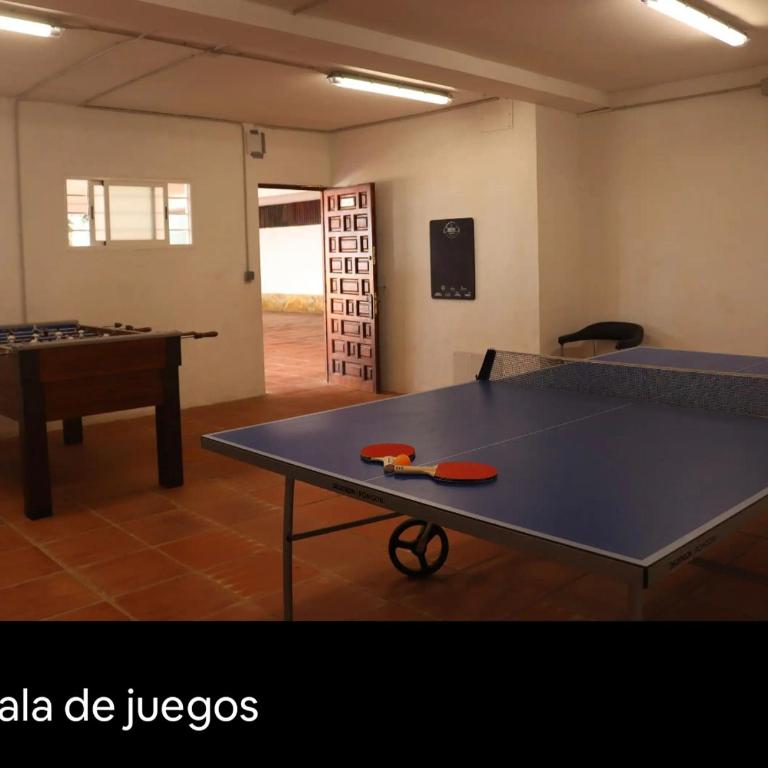 ESTUDIO PUERTO MARINA - Estudio - 50