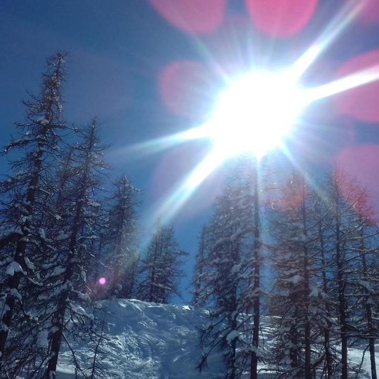 Le Skisun 2 - T3 sur les pistes - Puy St Vincent 1800- Massif de Ecrins - Two-Bedroom Apartment - 21