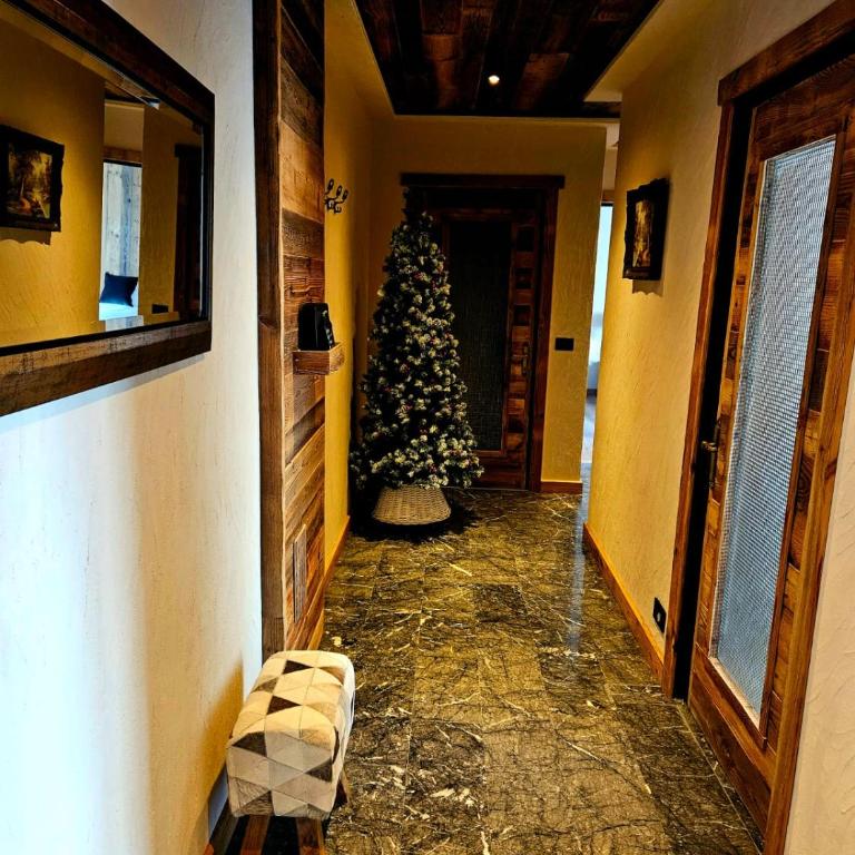 Chalet Du Centre - Appartamento Bilocale - 13