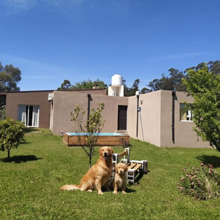 DOS ALAMOS - CASA - Colinas Verdes - Casa de 2 dormitorios - 64