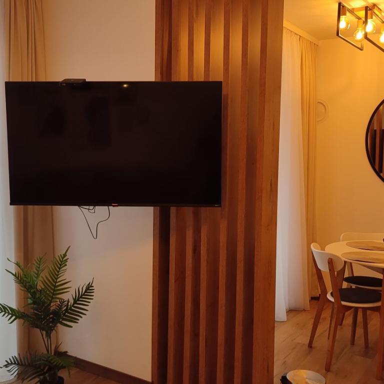 Apartman Sany Borovi 1 - Apartman sa 1 Spavaćom Sobom - 2