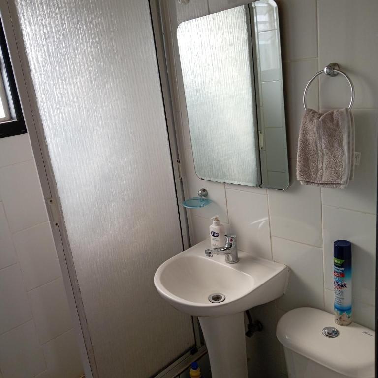 Entre lagos Departamento - Two-Bedroom Apartment - 6