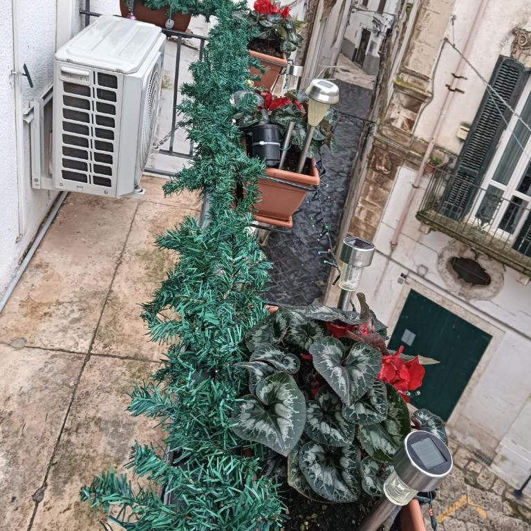 Casa Vacanza LA ROSA - Appartamento con 2 Camere da Letto - 15