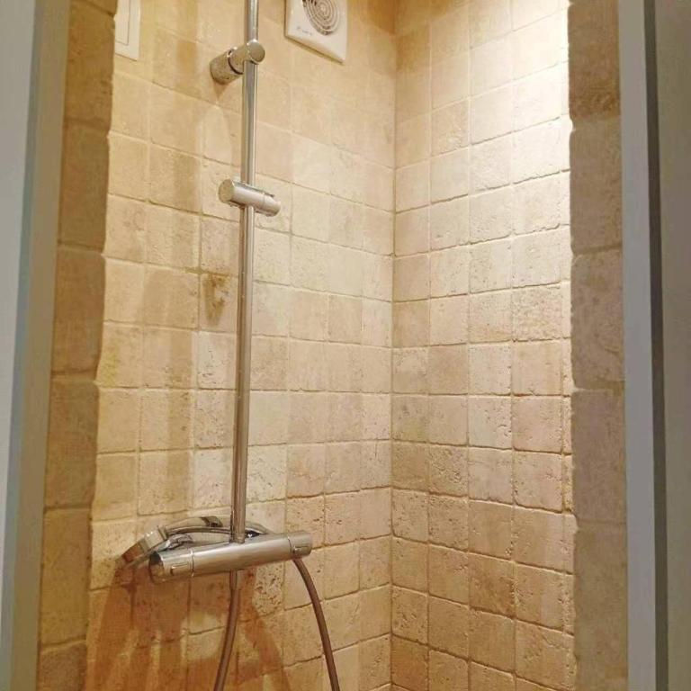 studio centre paris 15e near montparnasse - Appartement 1 Chambre - 8