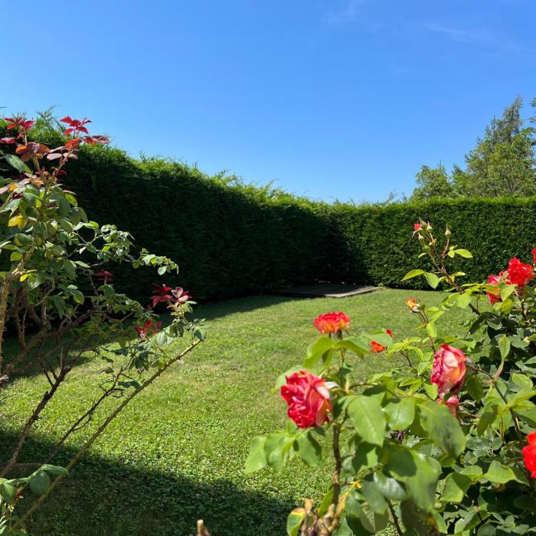 Villa Grumes by Sunhome Fiemme - Apartamento de 3 dormitorios - 11
