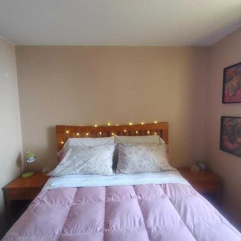 Habitación privada en la mejor parte de Cavancha - Double Room with Private Bathroom - 3