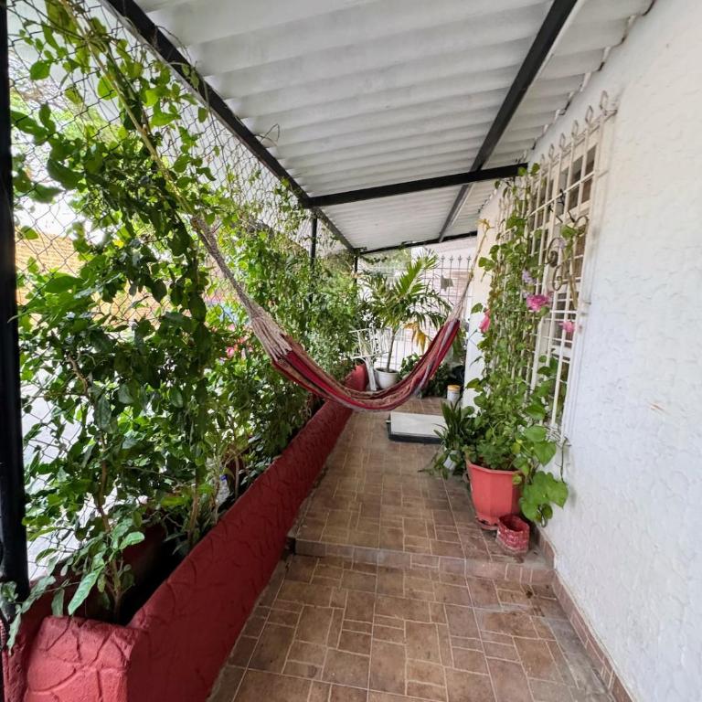 Apartamento centro Santa Marta - One-Bedroom Apartment - 15