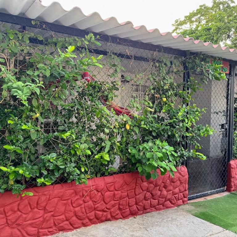 Apartamento centro Santa Marta - One-Bedroom Apartment - 11