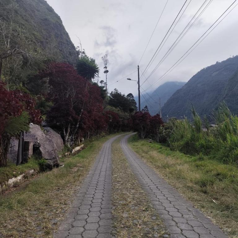 La casa del Pino - Casa de 3 dormitorios - 3