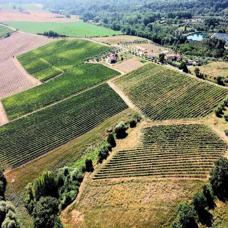 Apartment with swimming pool in Tuscany - Appartamento con 2 Camere da Letto - 24