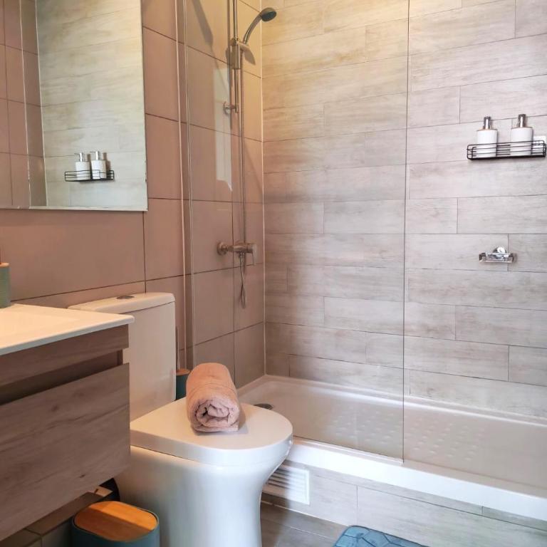 Departamento Moderno en Barrio Italia Providencia - One-Bedroom Apartment - 15
