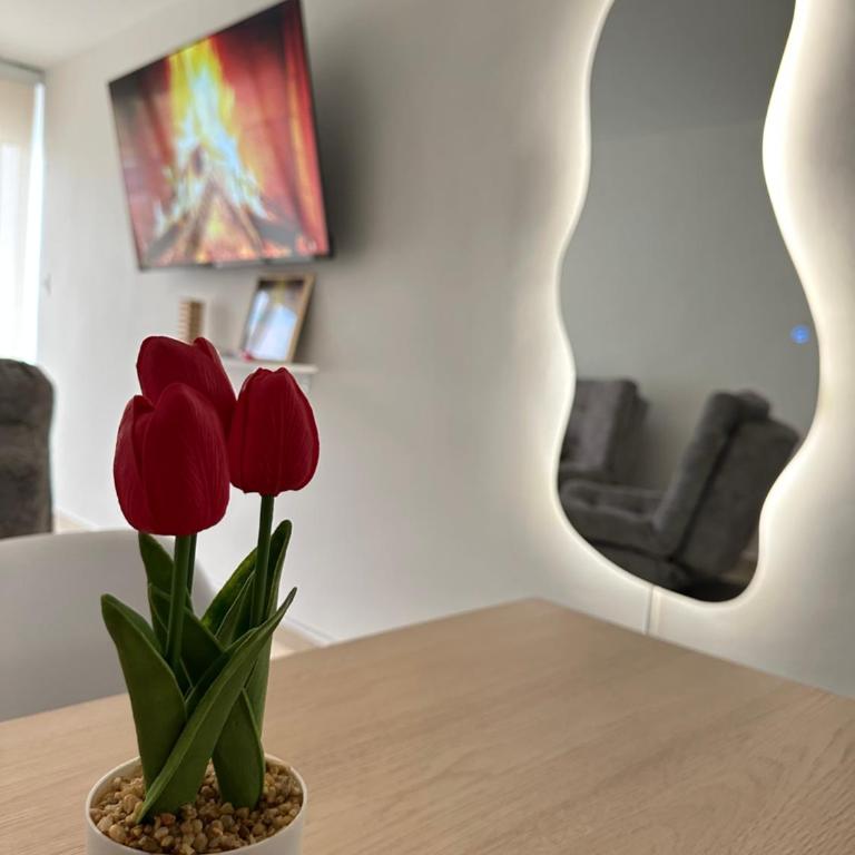 Tu mejor opción por san gil - Two-Bedroom Apartment - 16