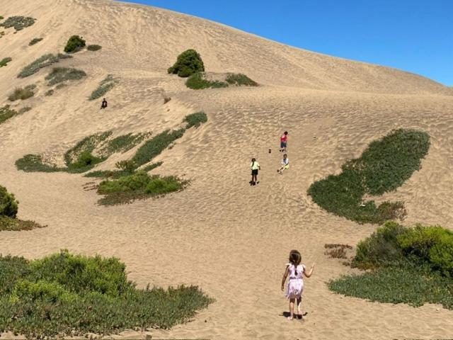 Marina Montemar - Apartamento de 1 dormitorio - 25