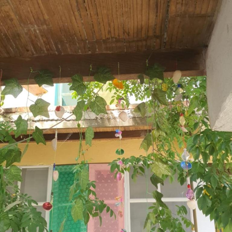 Jumanji - Habitación Deluxe - 1 cama grande - 3