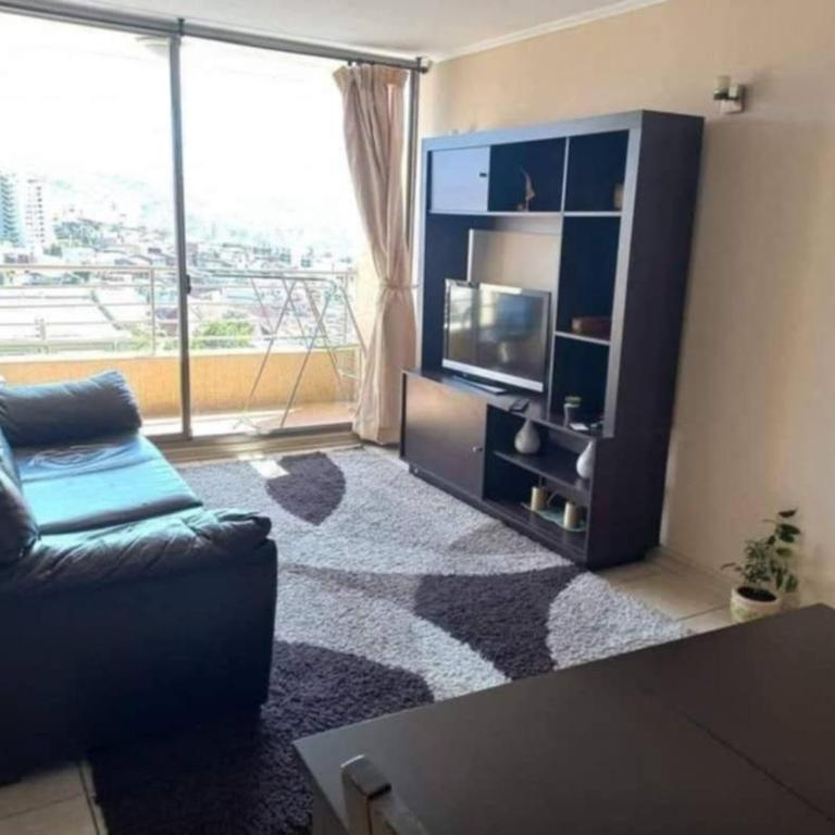 Gran Departamento, Full amoblado - One-Bedroom Apartment - 1