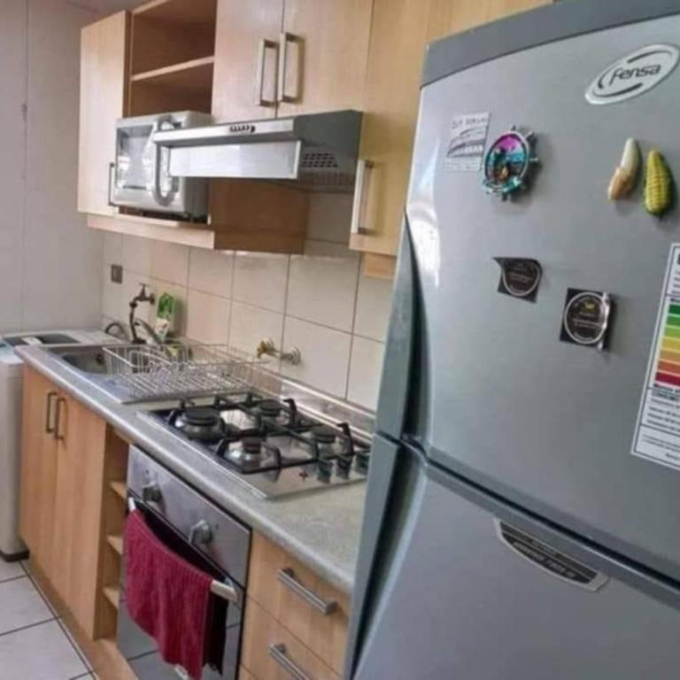 Gran Departamento, Full amoblado - One-Bedroom Apartment - 4