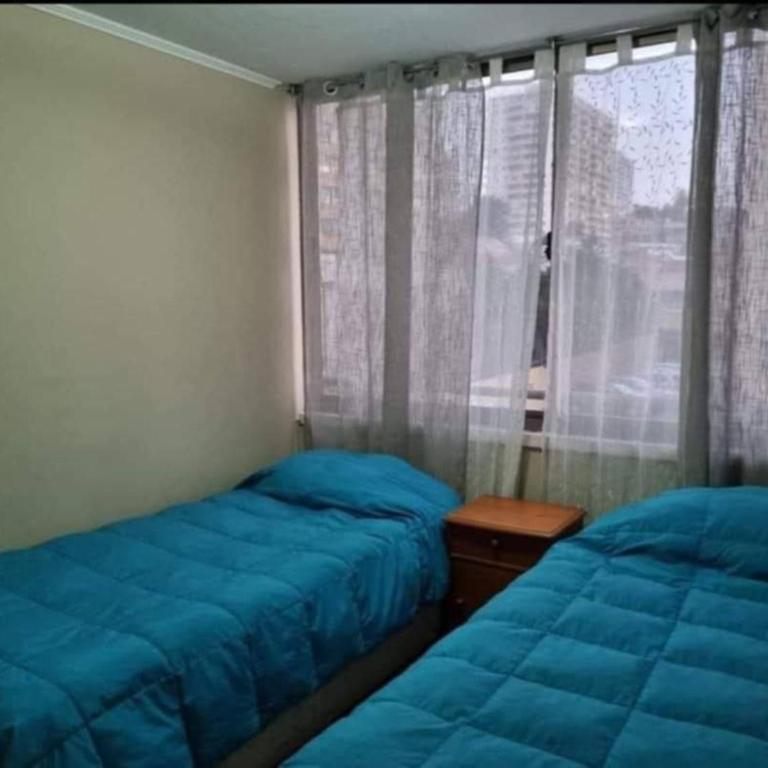 Gran Departamento, Full amoblado - One-Bedroom Apartment - 5