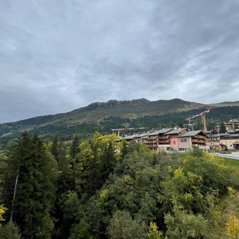 Appartement cosy 6 pers à Valmorel proche des pistes - FR-1-356-550 - Appartamento - 12