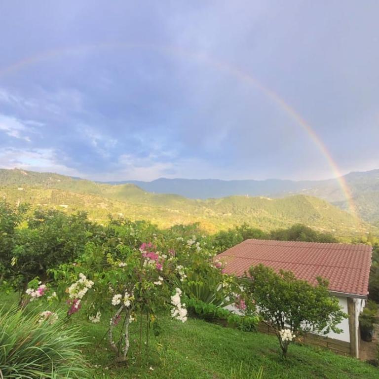 Cabañas Los Tulipanes - Chalet - 8