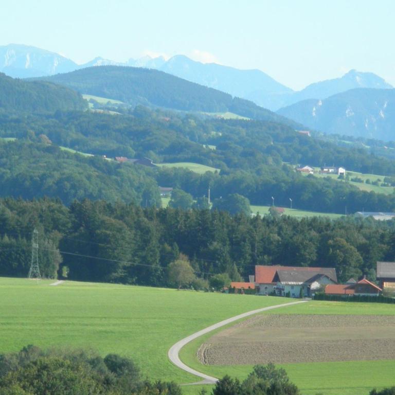 Landgasthof Franz Josef - Studio - 1