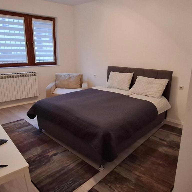 Nino Apartment Sarajevo - Apartman sa 2 Spavaće Sobe - 3