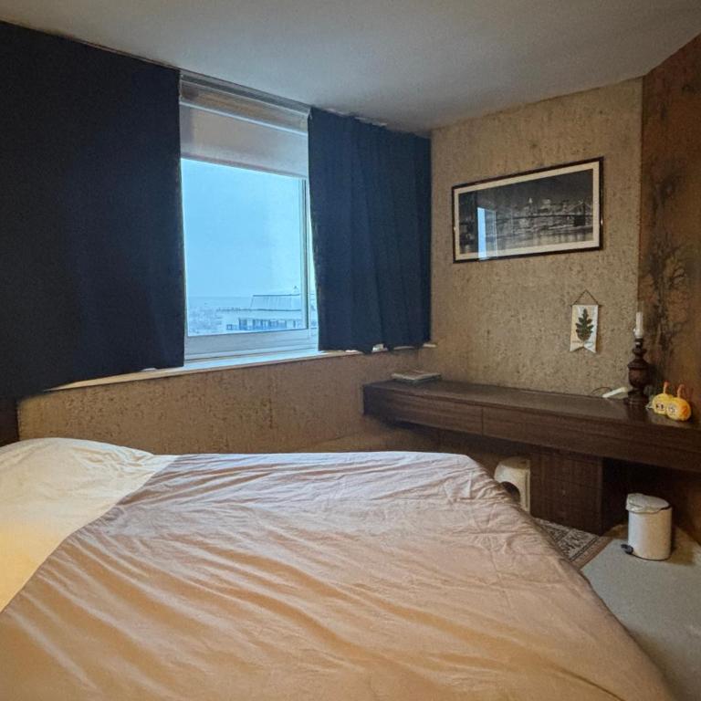Bel appartement bourgeois 170 m2 Proche gare et Place Stanislas, Nancy - Appartement - 10