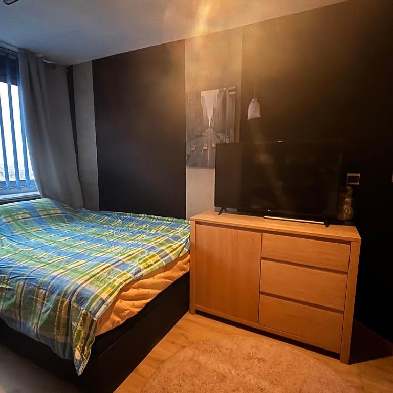 Bel appartement bourgeois 170 m2 Proche gare et Place Stanislas, Nancy - Appartement - 34