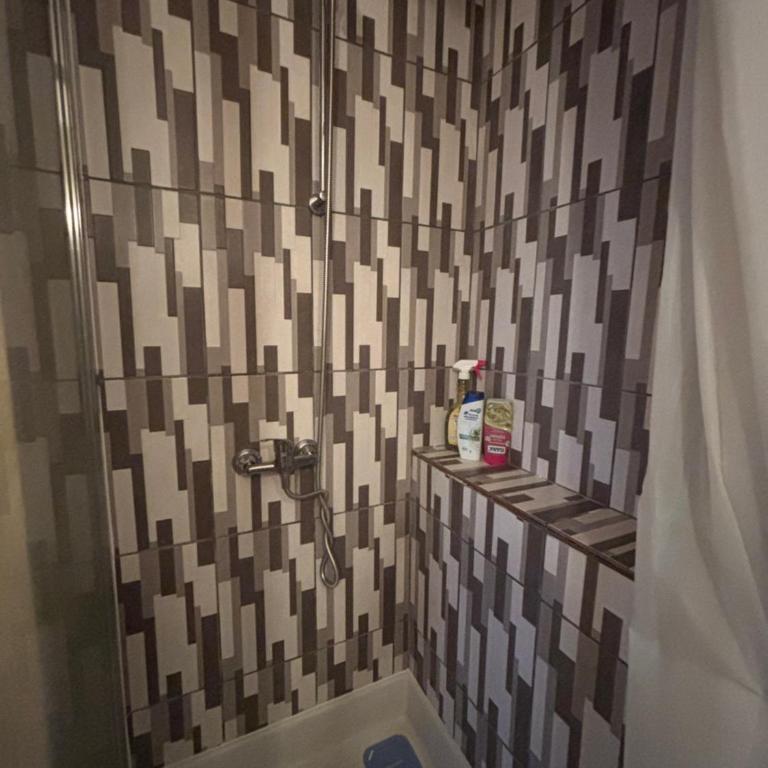 Bel appartement bourgeois 170 m2 Proche gare et Place Stanislas, Nancy - Appartement - 29